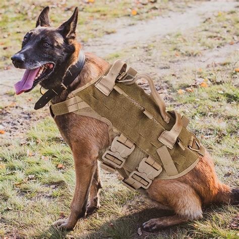 K9 tactical gear - Home. Everyday Harness. $96.00. Size Adult. Hardware Mojave HD. Color Black. Add to cart. Description. Sizing. FAQs. Shipping & Returns. INTRODUCING: THE EVERYDAY …